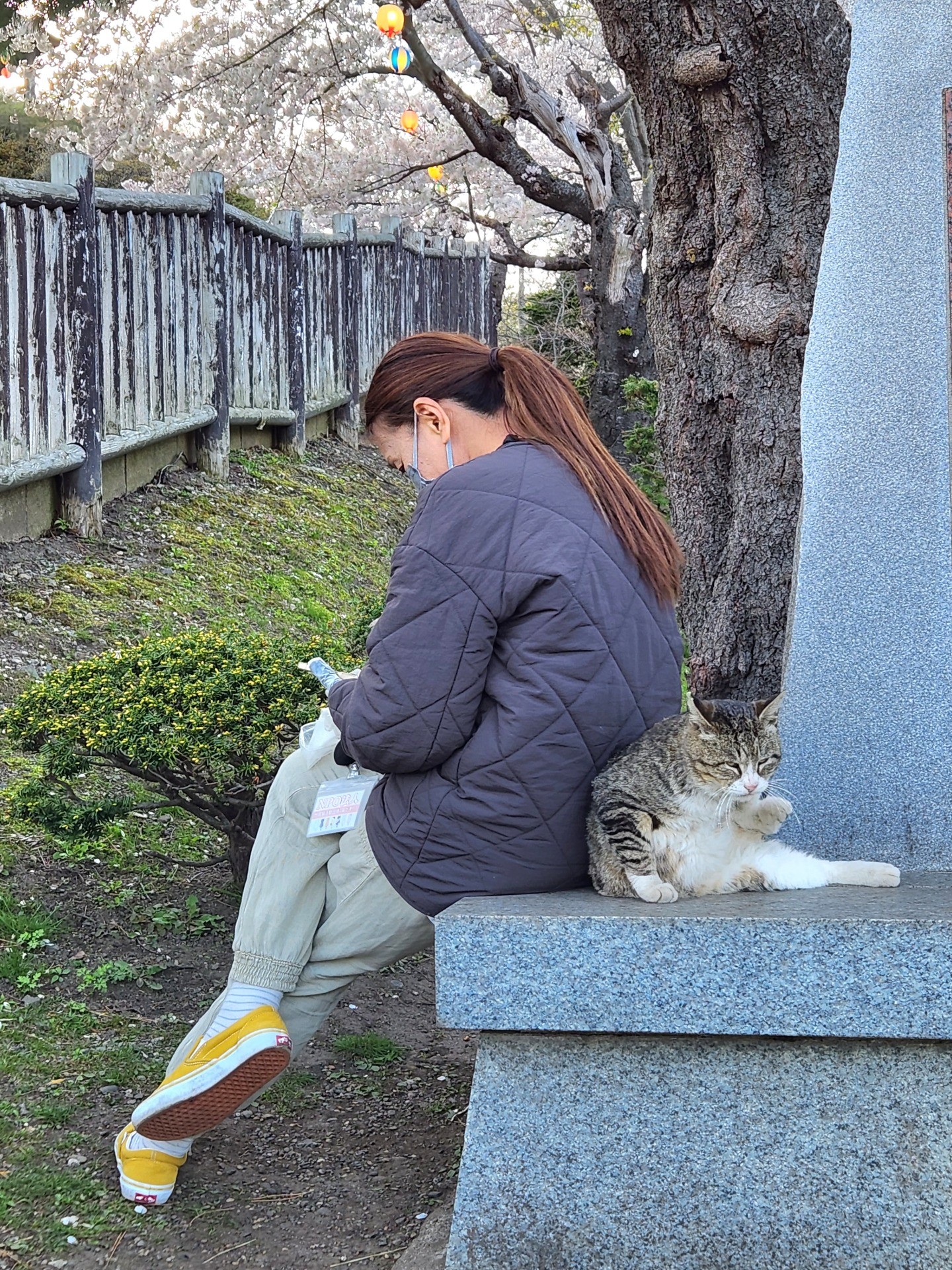 彼氏と彼女