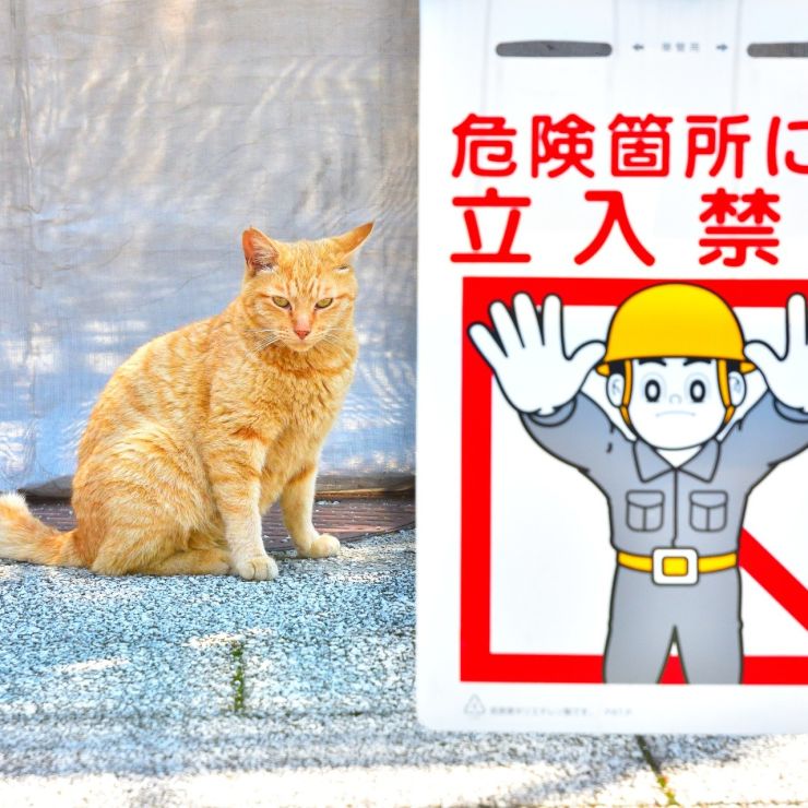 「立入禁止です！」
