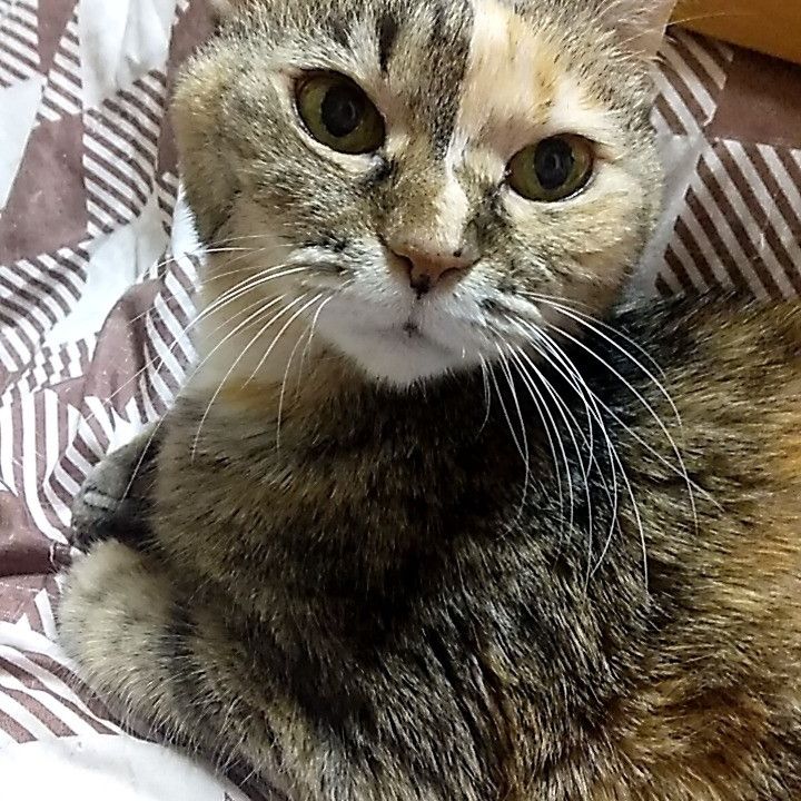 まだまだ元気！