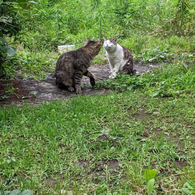 親子のつどい