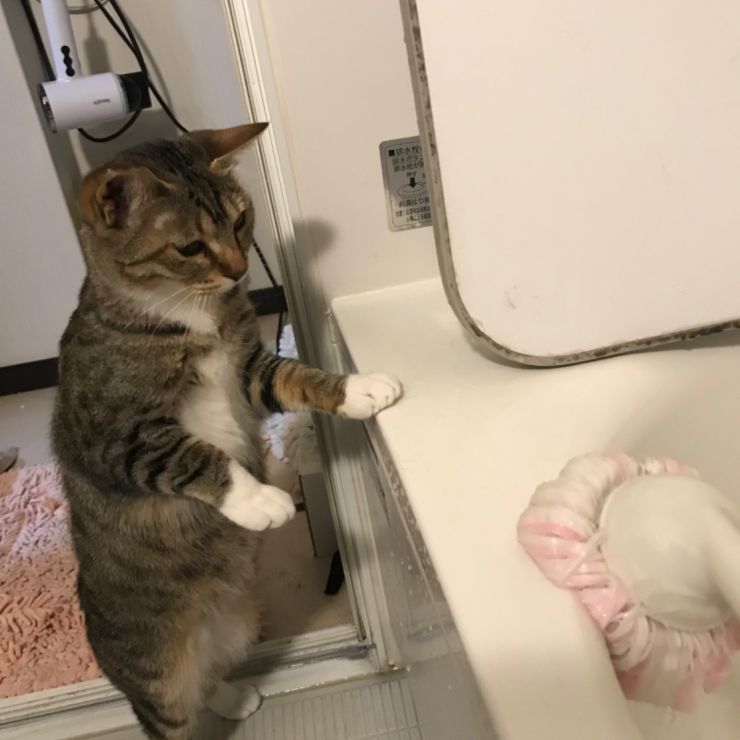 手伝いますよ！