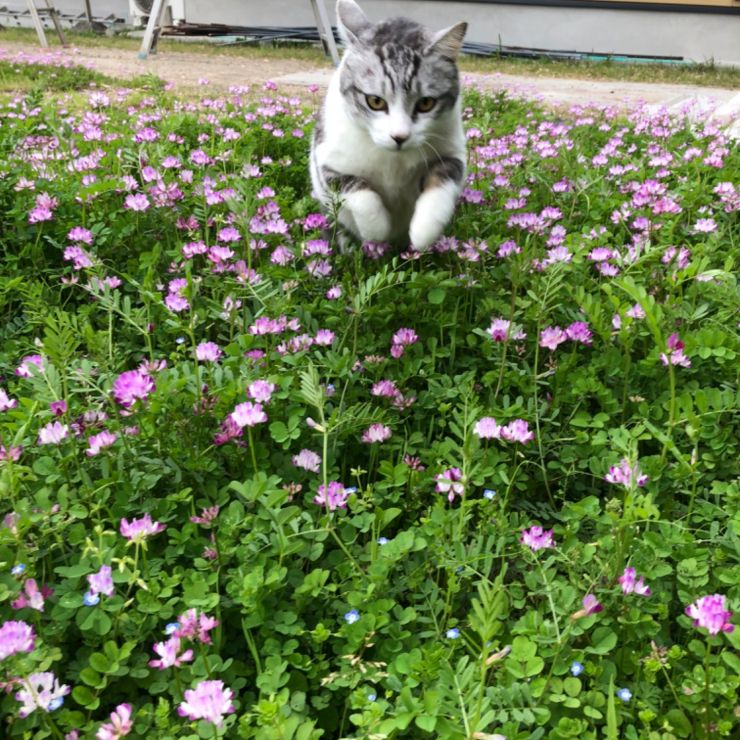 よーいしょっ！