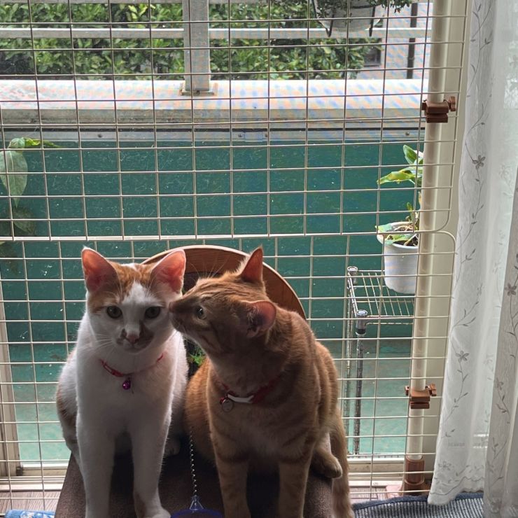 いつまでも一緒に