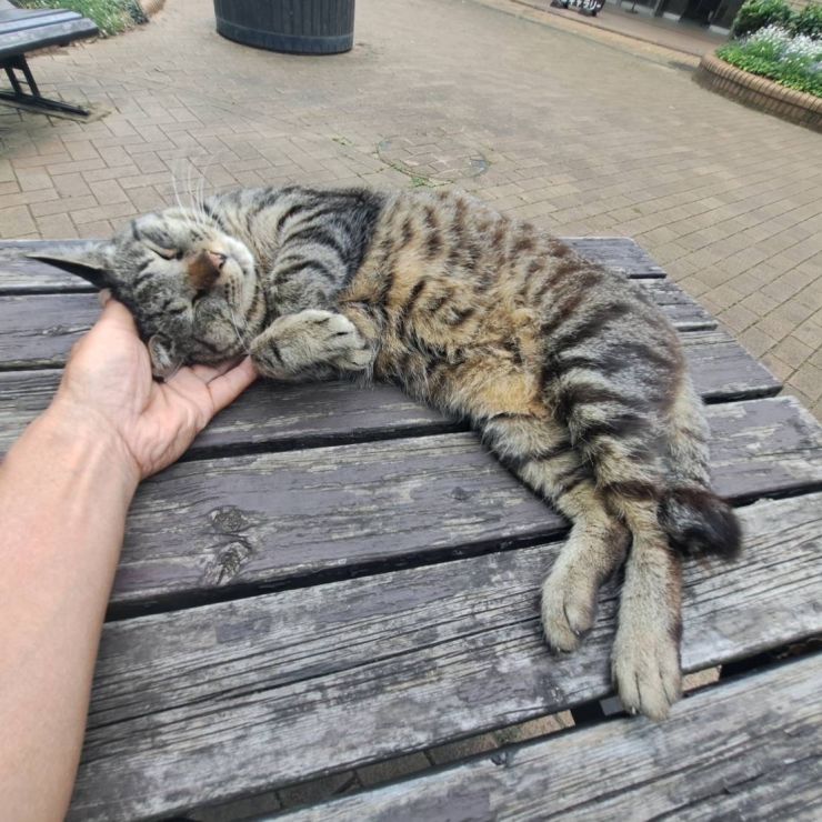 夢の中