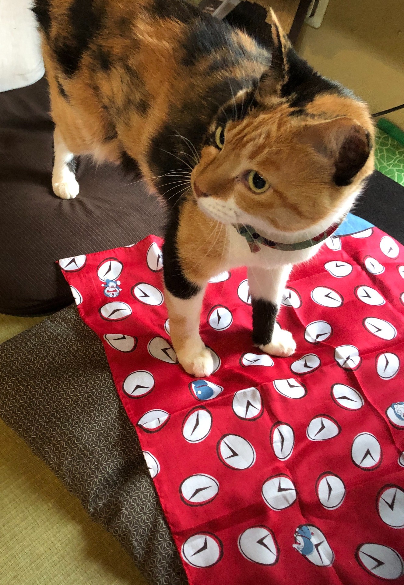 時間を戻せる？