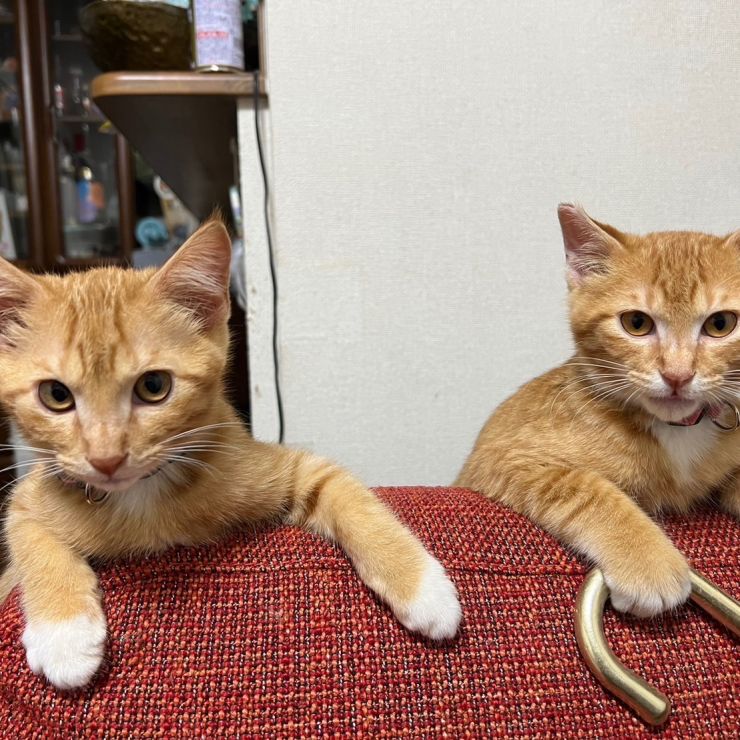一緒に💓