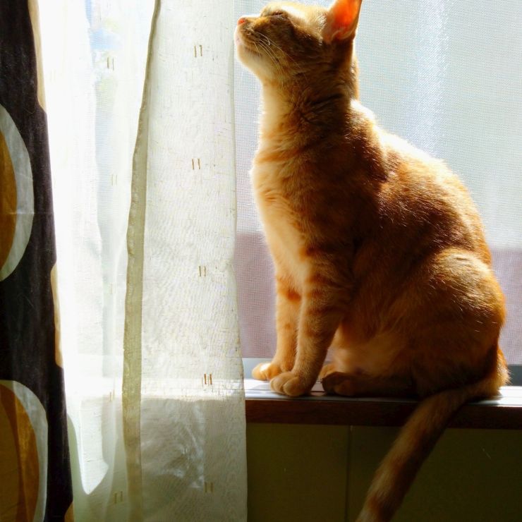 温かな部屋で、風を感じて