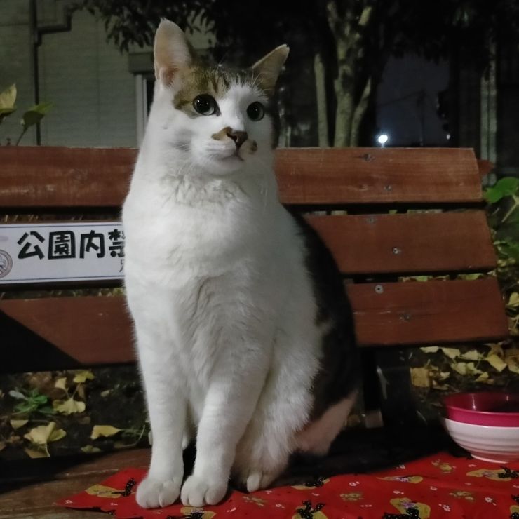 ベンチの上ではハンカチ敷いて