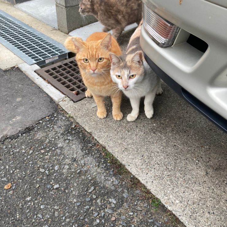 朝ごはんに集合