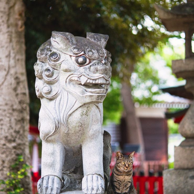 どっちも良い顔！