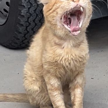 あ〜ん