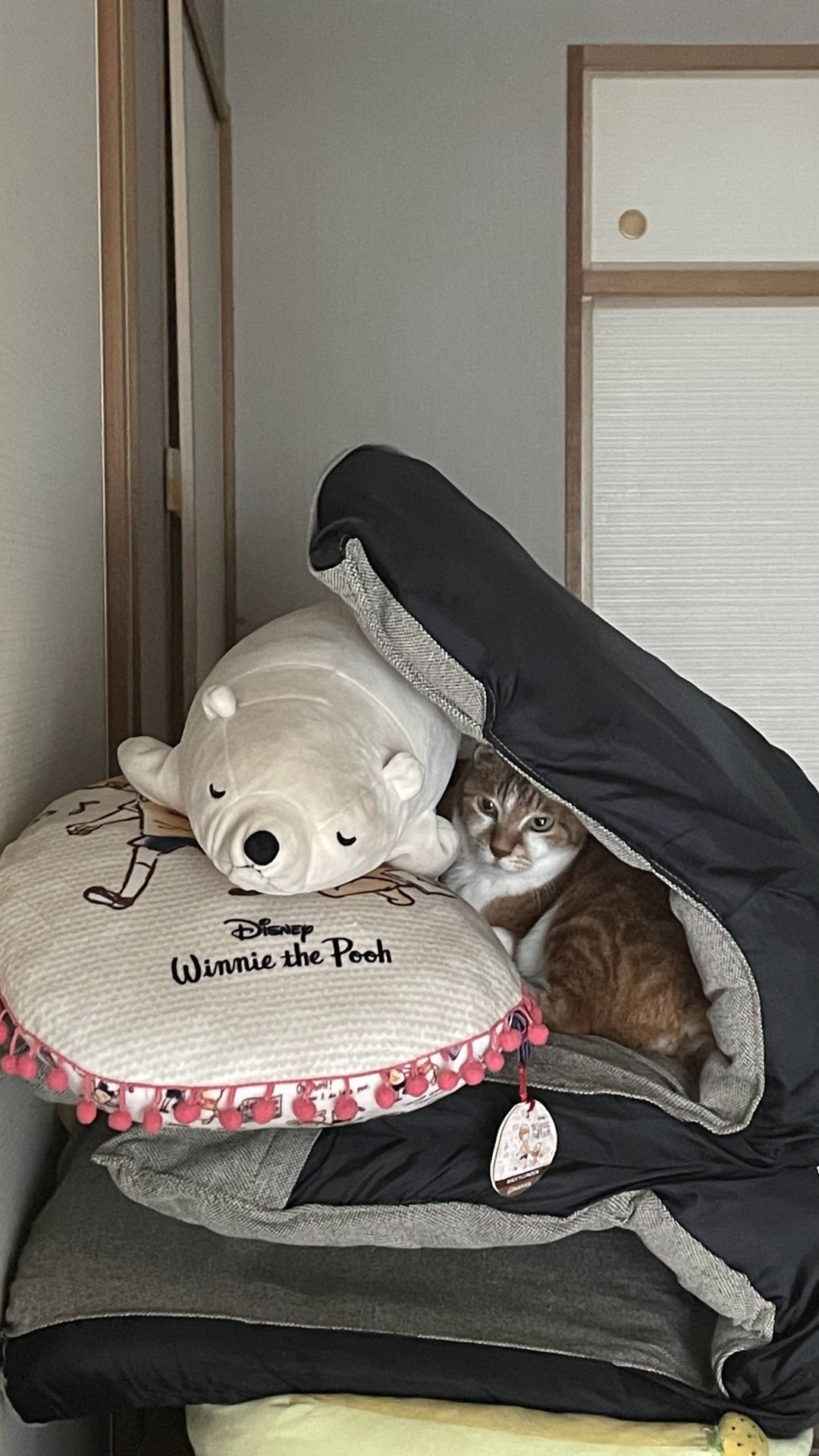 かくれんぼ
