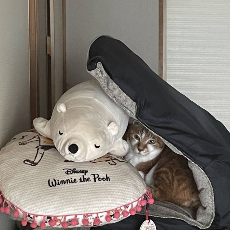 かくれんぼ