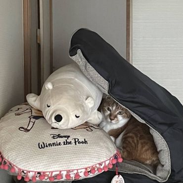 かくれんぼ