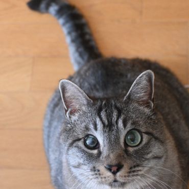 見つめ愛