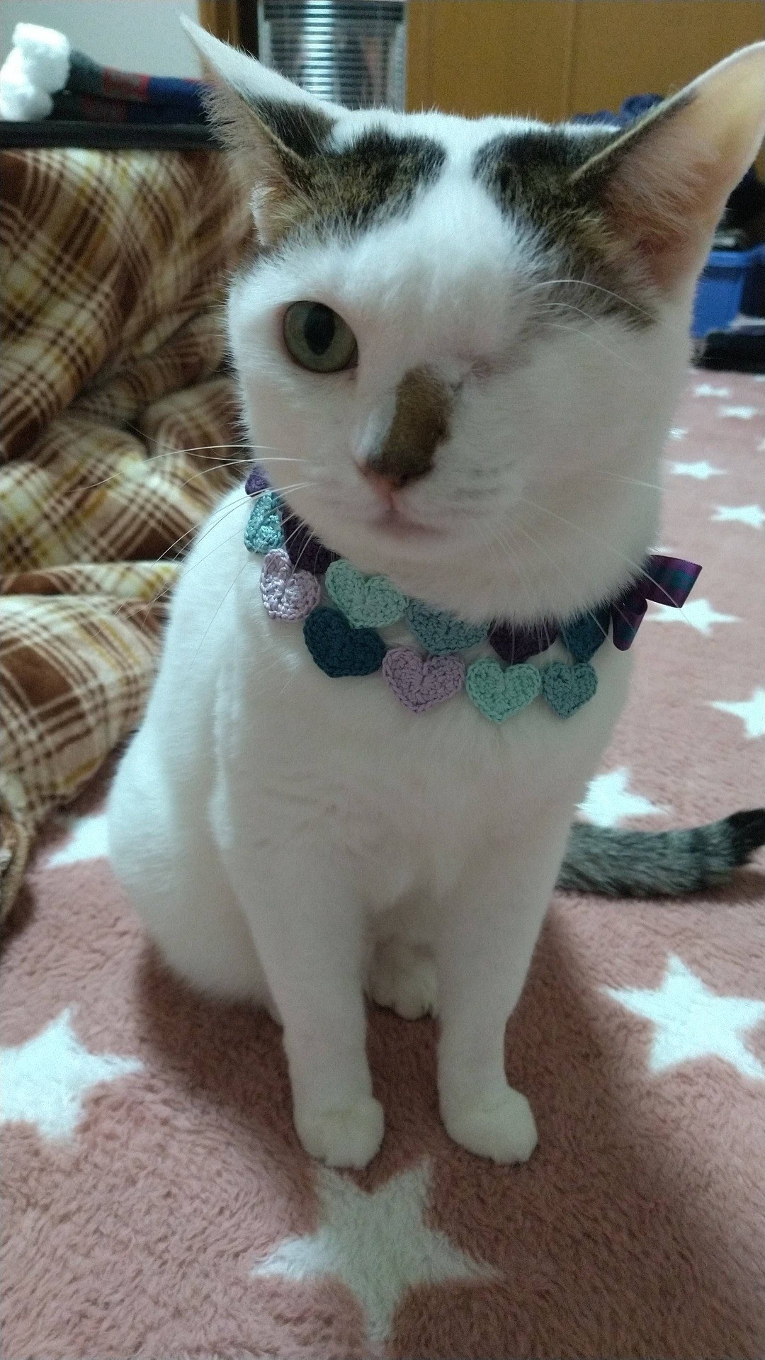会いたいよ