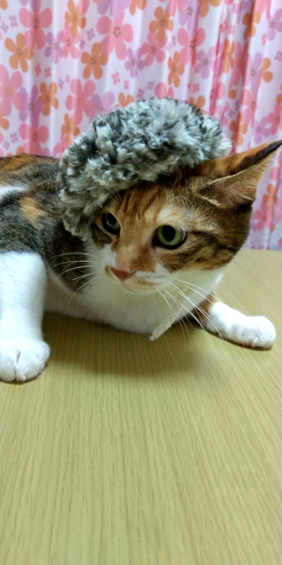 ベレー帽