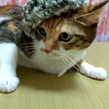 ベレー帽