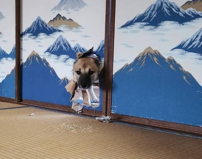 初めてのいたずら