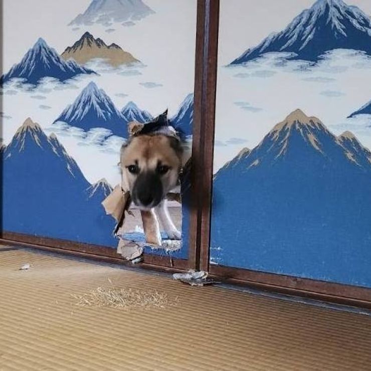 初めてのいたずら