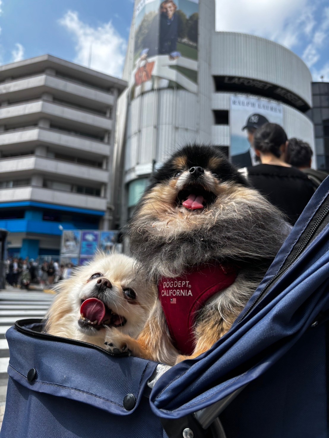ある日のお出かけ