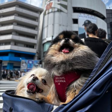 ある日のお出かけ