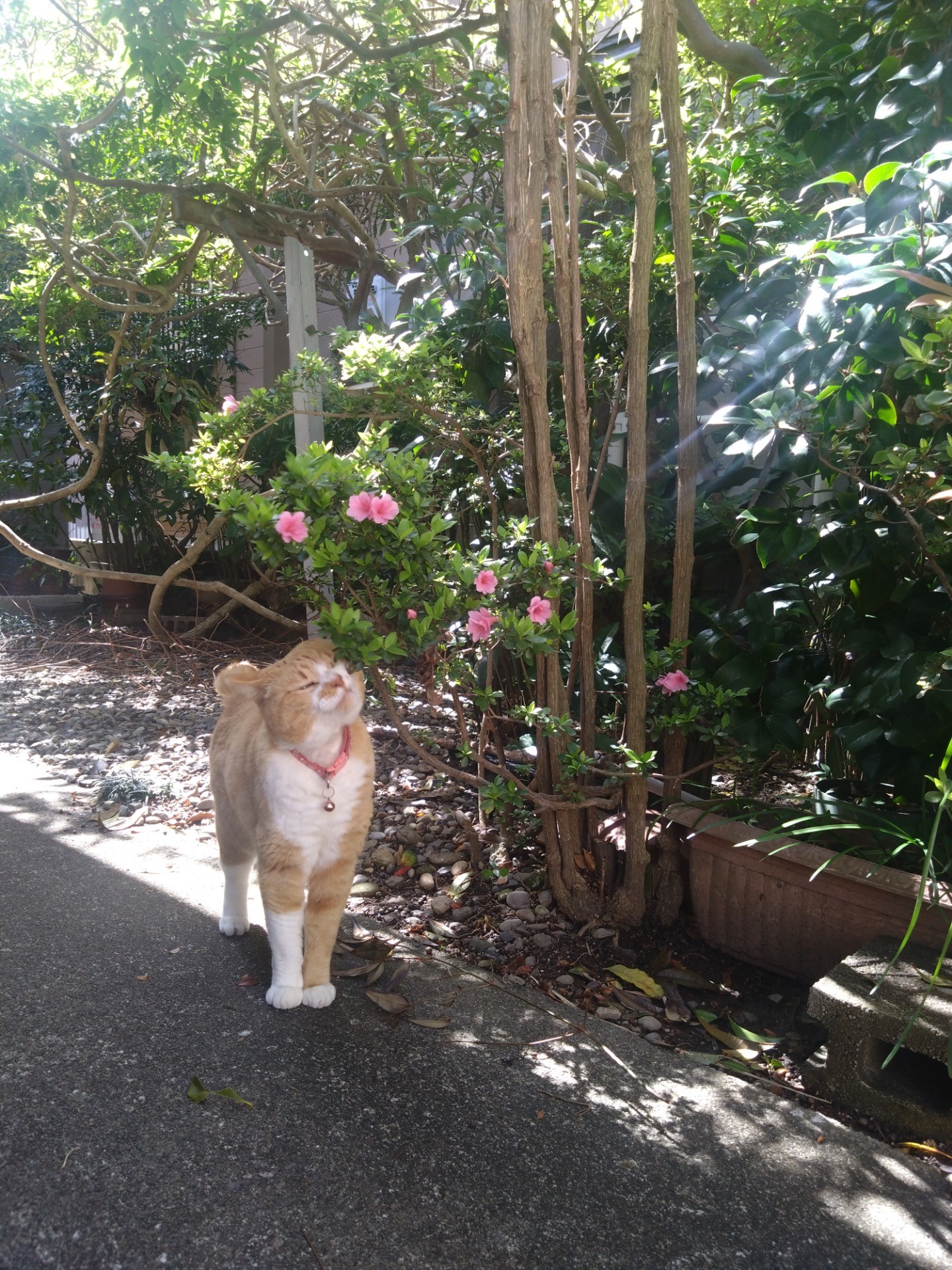 春の匂い大好き