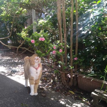 春の匂い大好き