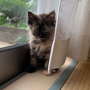 大丈夫だよ！