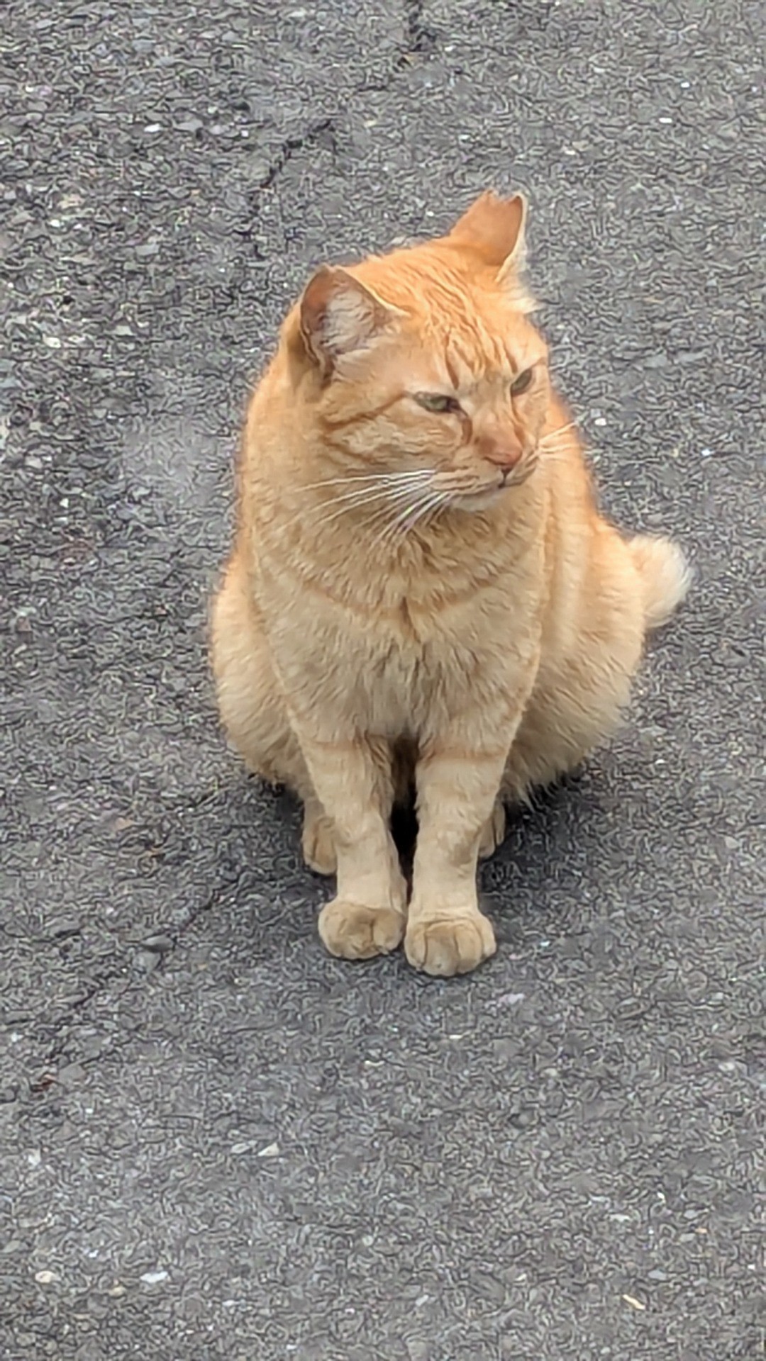 ずっと頑張ってくれてありがとう！