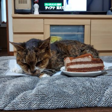 いつまでもありがとう。