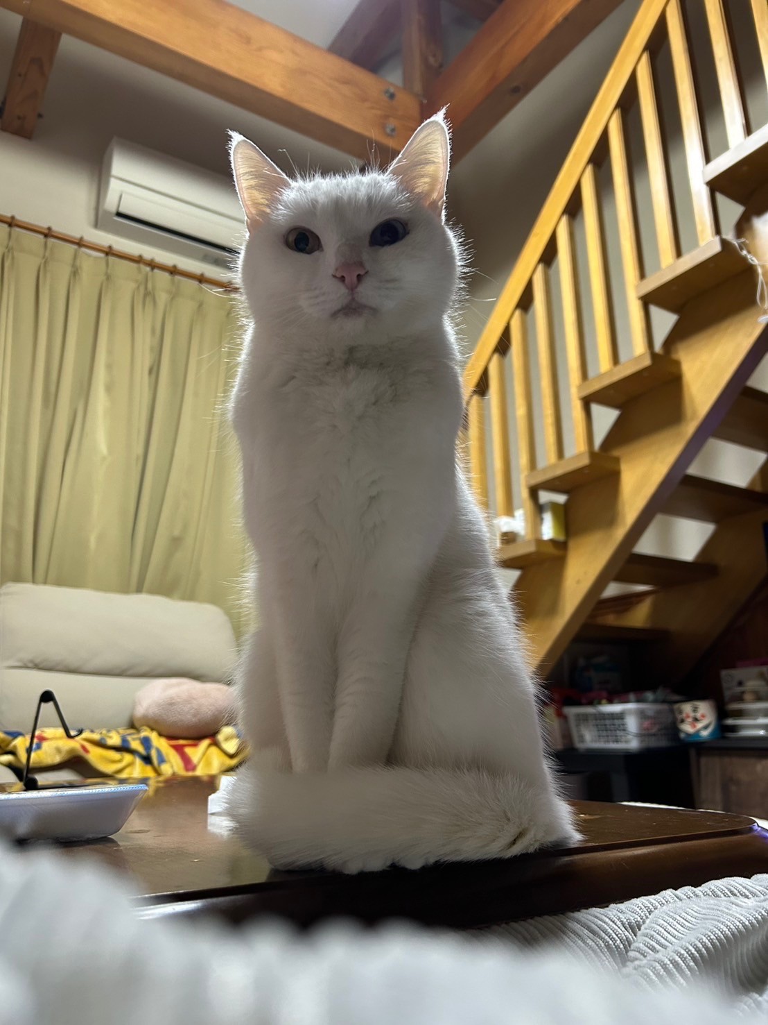 おしりトントンして