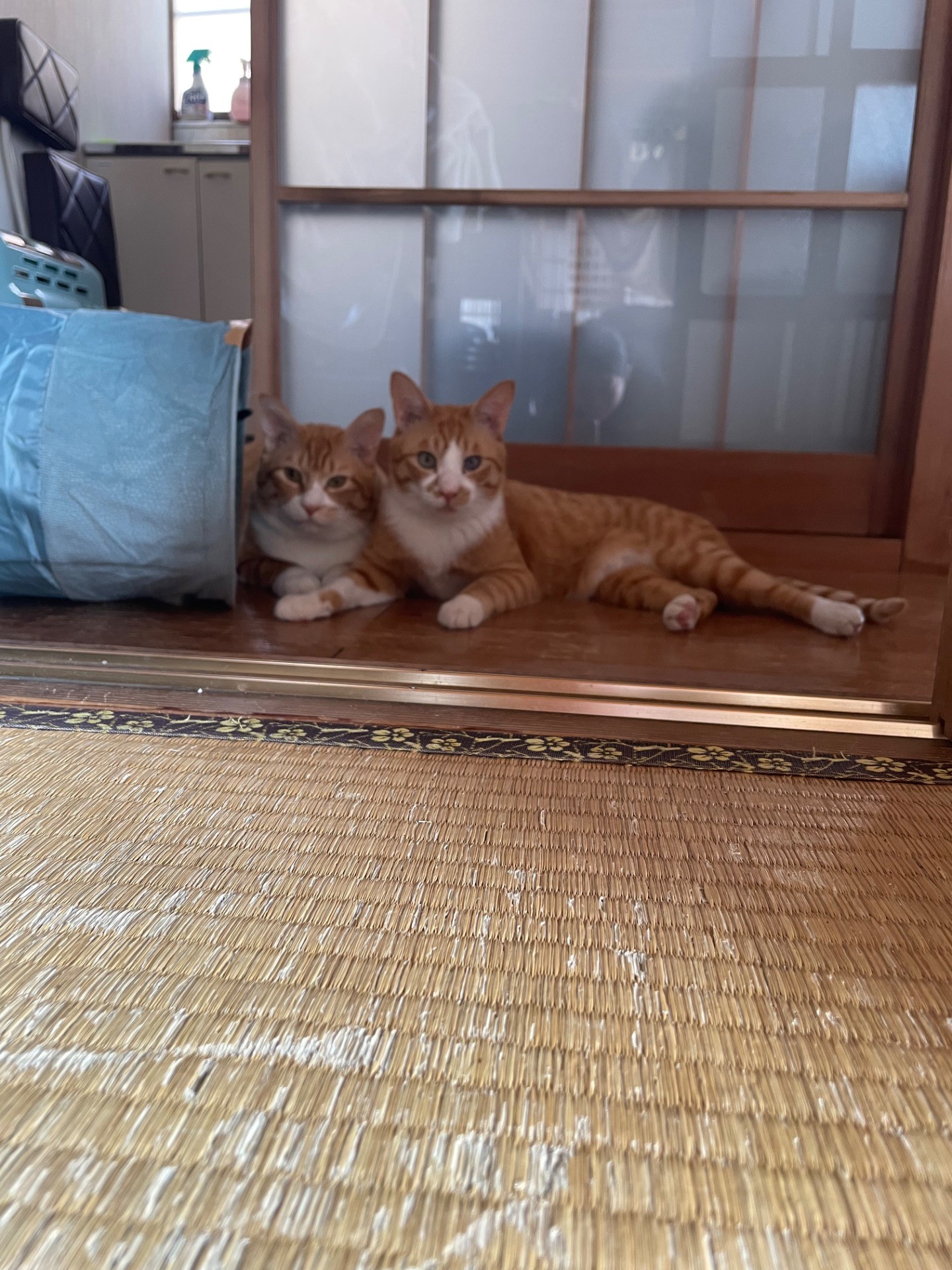 いつも仲良し