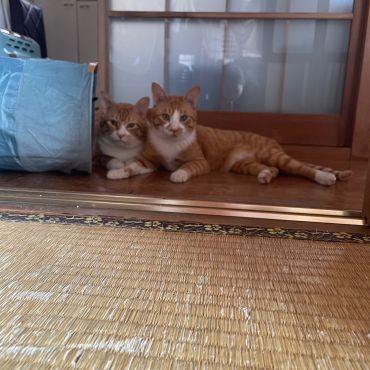 いつも仲良し