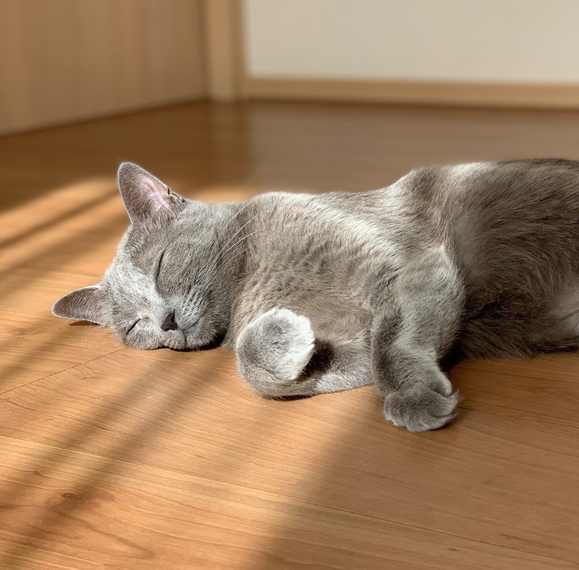しあわせ