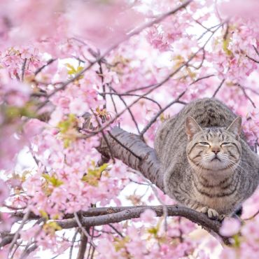 「花より団子」