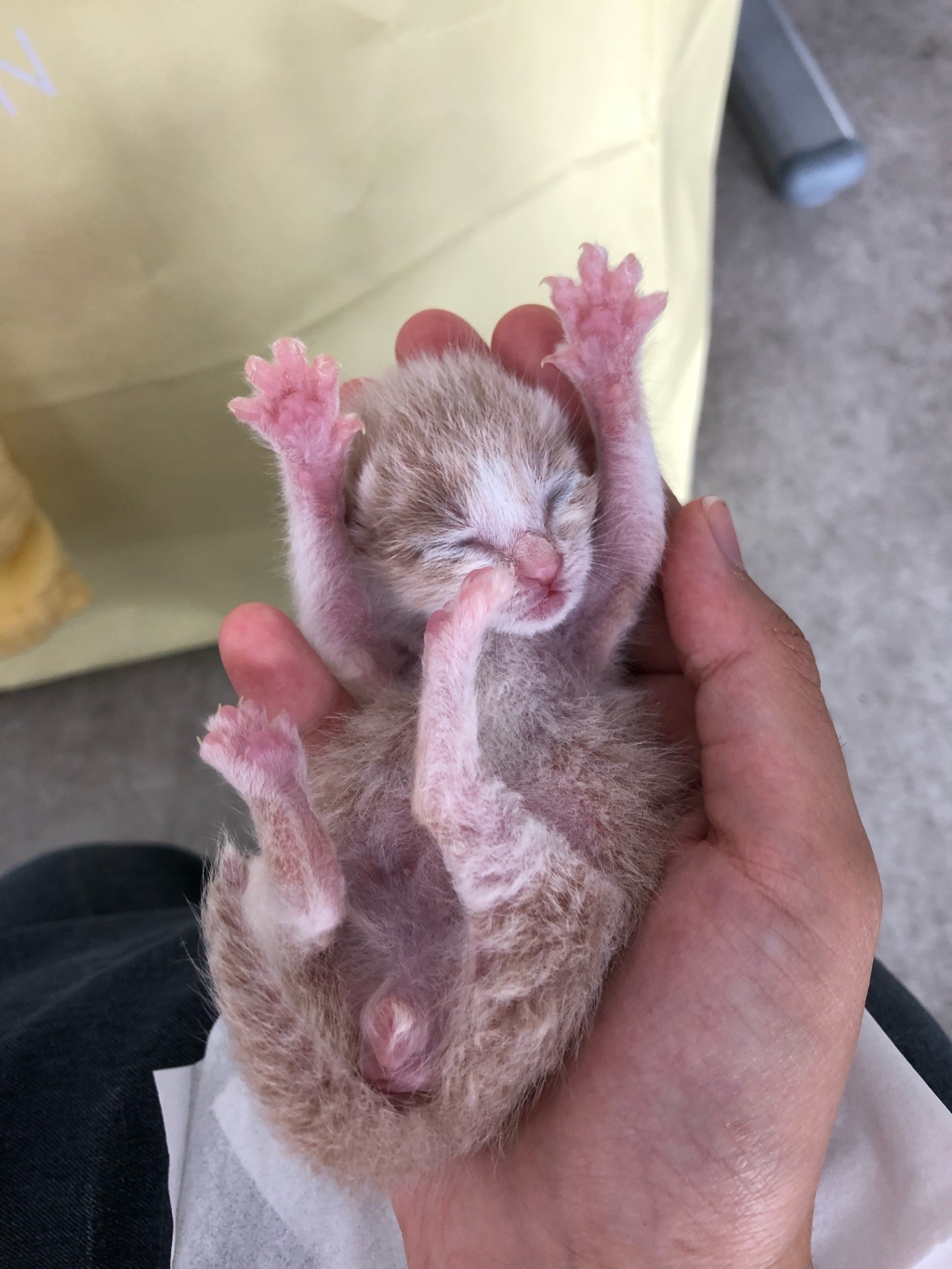 生きるぞっ！！！！