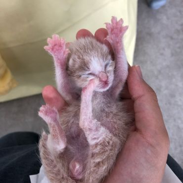 生きるぞっ！！！！