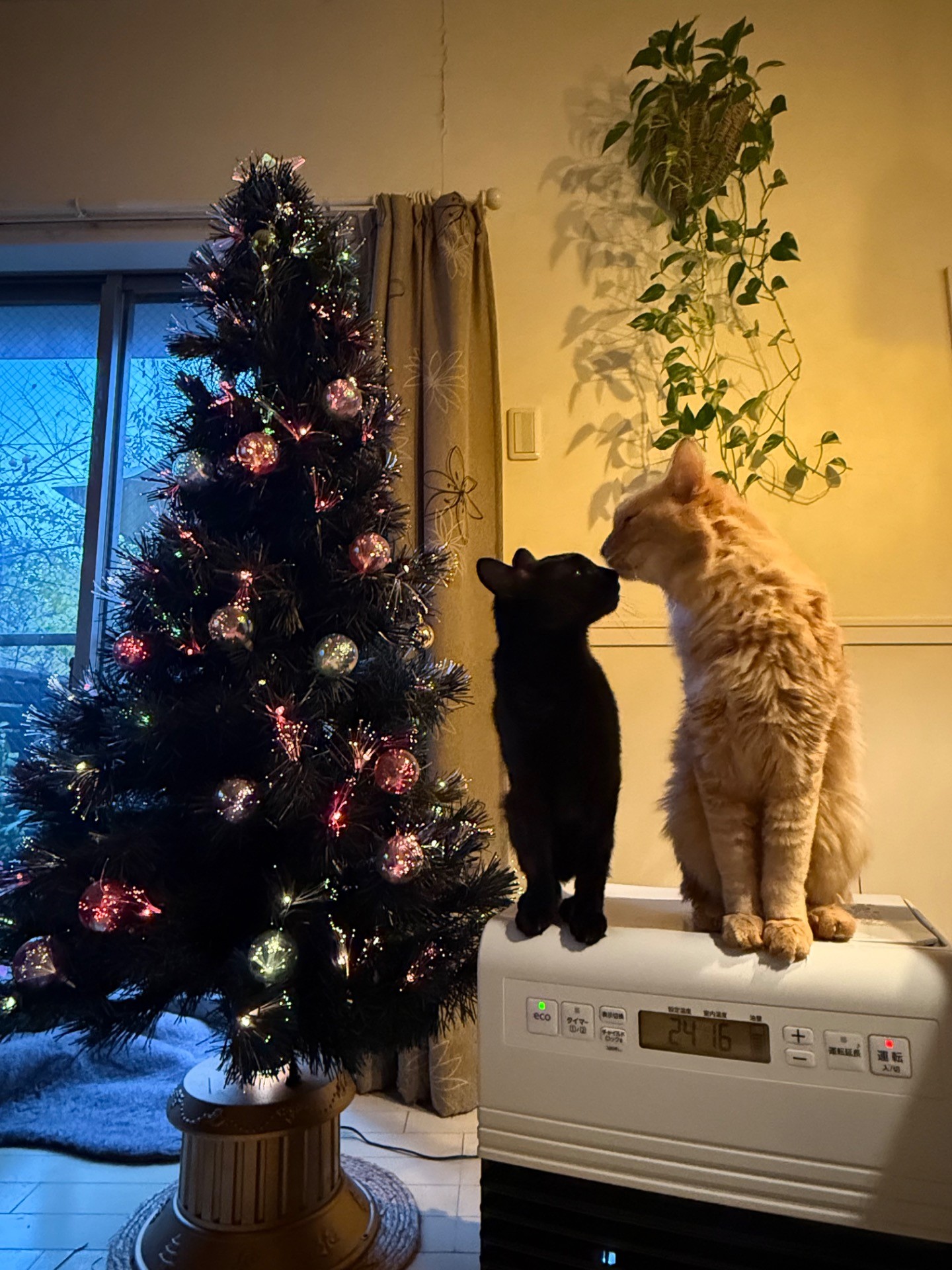 メリークリスマス
