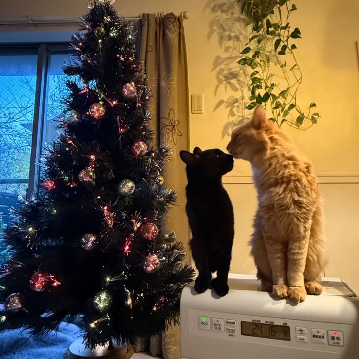 メリークリスマス