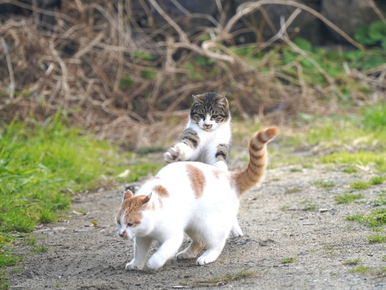 仲良し