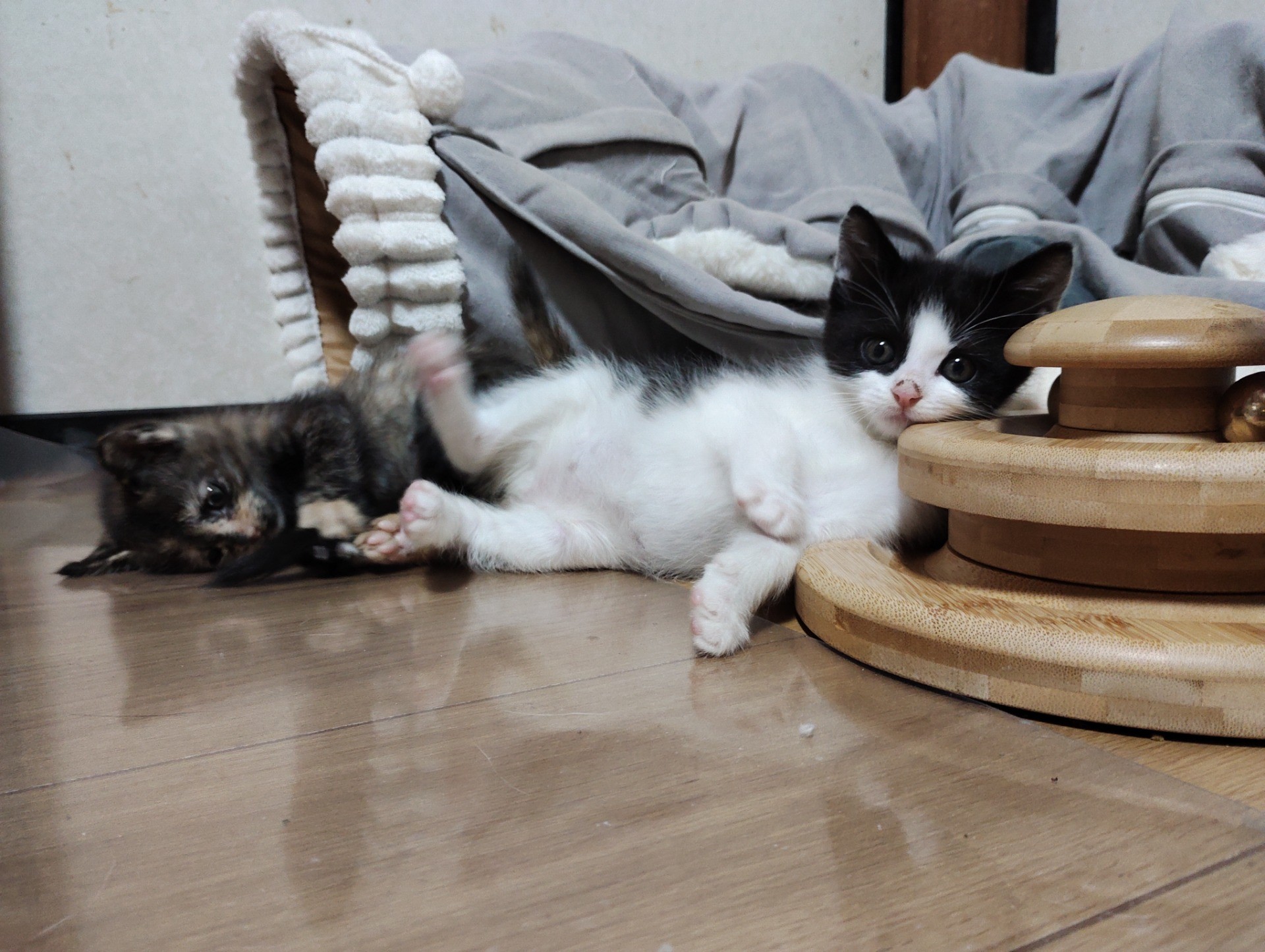 遊びは楽しい
