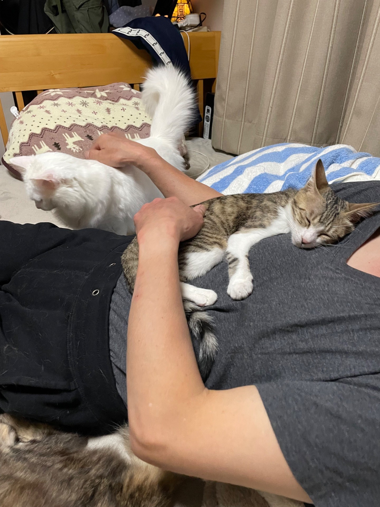 お外でひとりぼっちでがんばっていたほよみちゃん