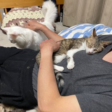 お外でひとりぼっちでがんばっていたほよみちゃん