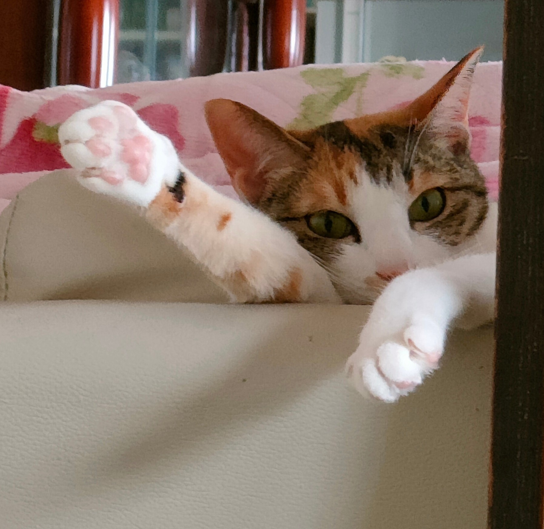じゃんけんパー