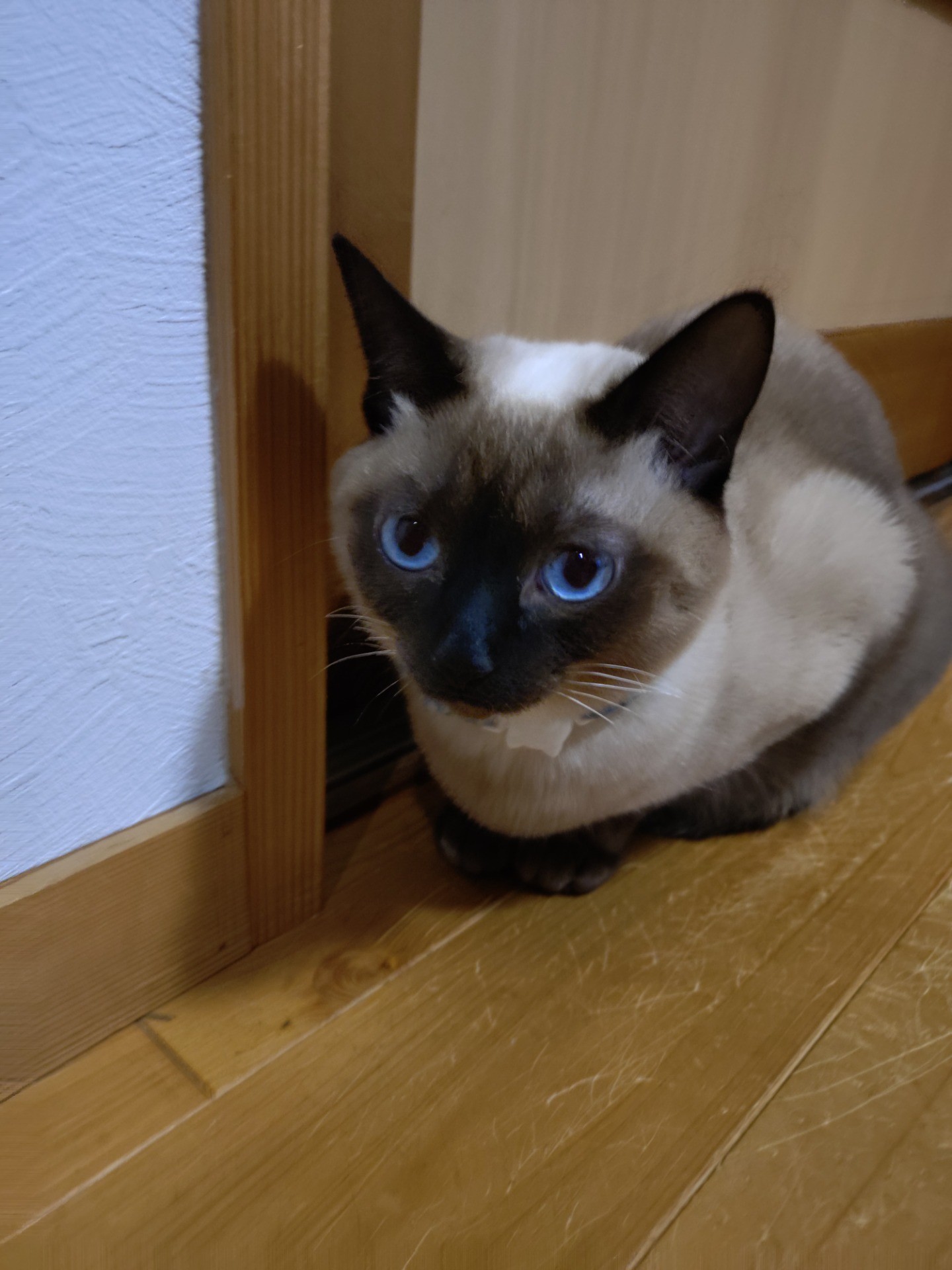ようこそ！