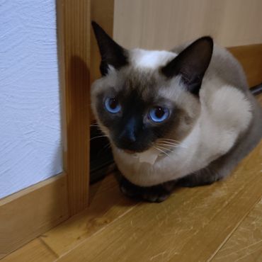 ようこそ！