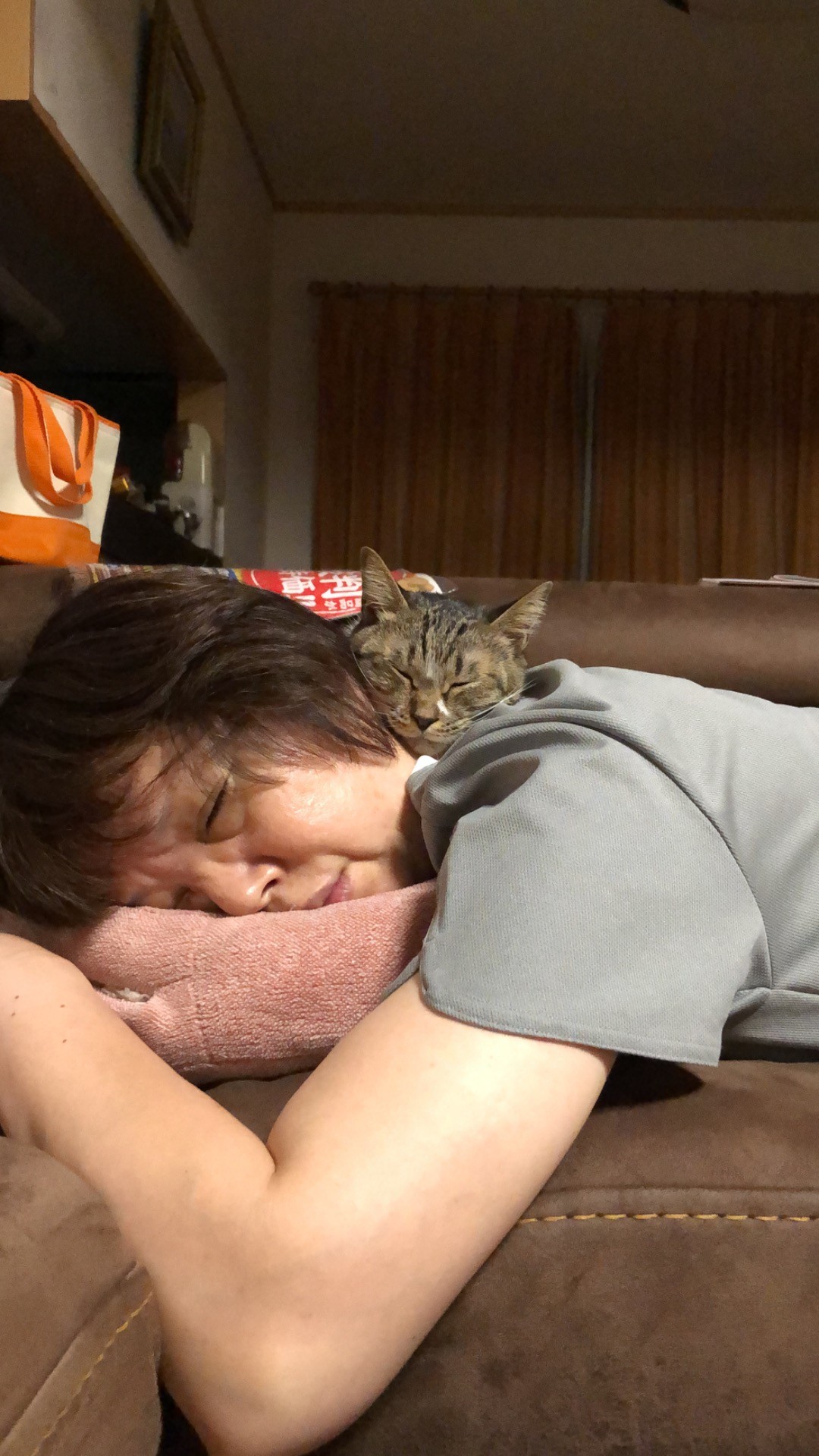 実はなかよし。