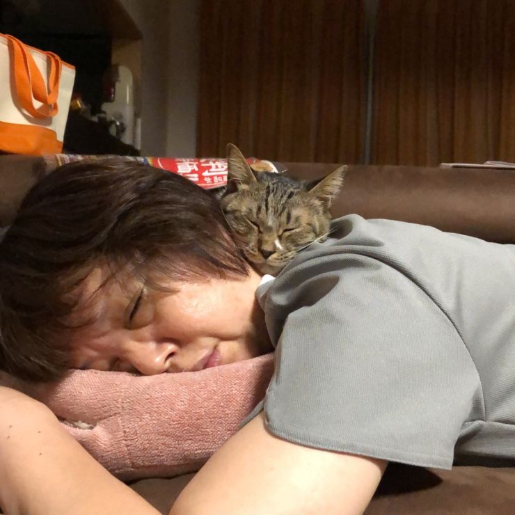 実はなかよし。