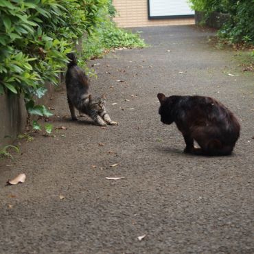のびのびと